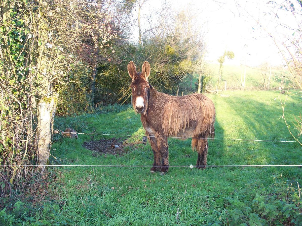 La Genoise Bed & Breakfast Tillieres Exterior photo