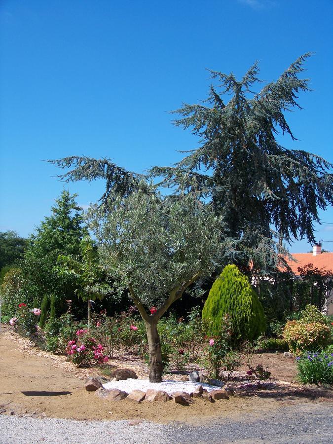 La Genoise Bed & Breakfast Tillieres Exterior photo